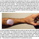 Illustration for article titled Cellphone Display Concept Designed for Dracula Is Bloody, Ridiculous